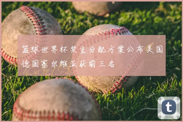 篮球世界杯奖金分配方案公布美国德国塞尔维亚获前三名