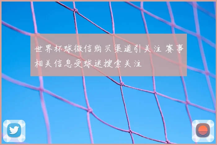 世界杯球微信购买渠道引关注 赛事相关信息受球迷搜索关注