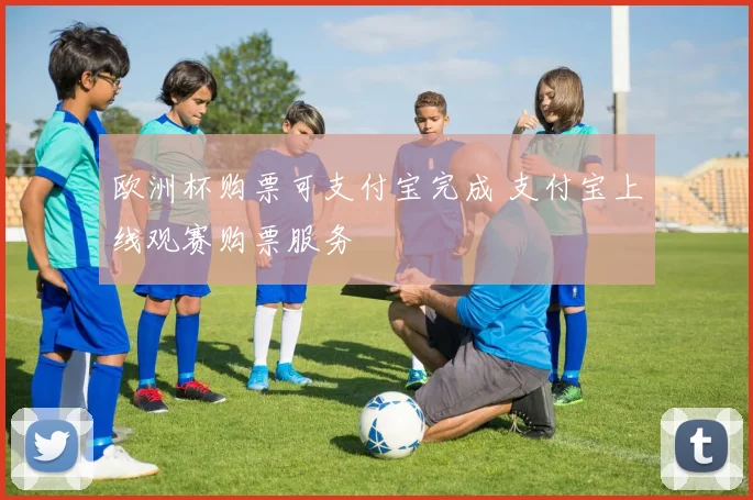 欧洲杯购票可支付宝完成 支付宝上线观赛购票服务