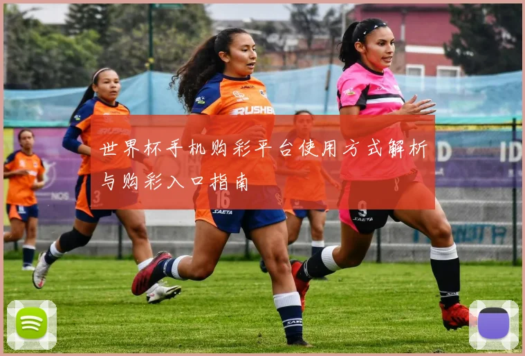 世界杯手机购彩平台使用方式解析与购彩入口指南