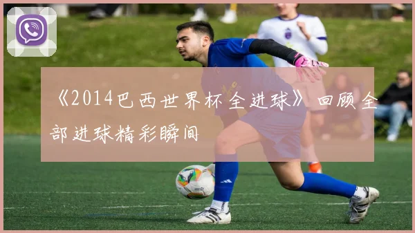 《2014巴西世界杯全进球》回顾全部进球精彩瞬间