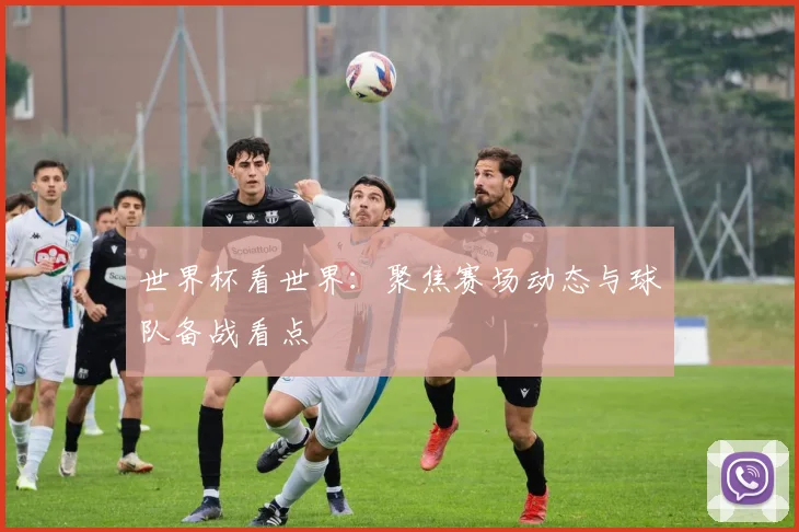世界杯看世界：聚焦赛场动态与球队备战看点