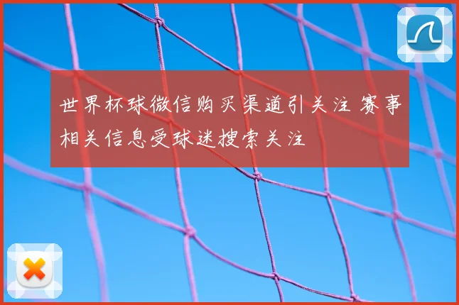 世界杯球微信购买渠道引关注 赛事相关信息受球迷搜索关注