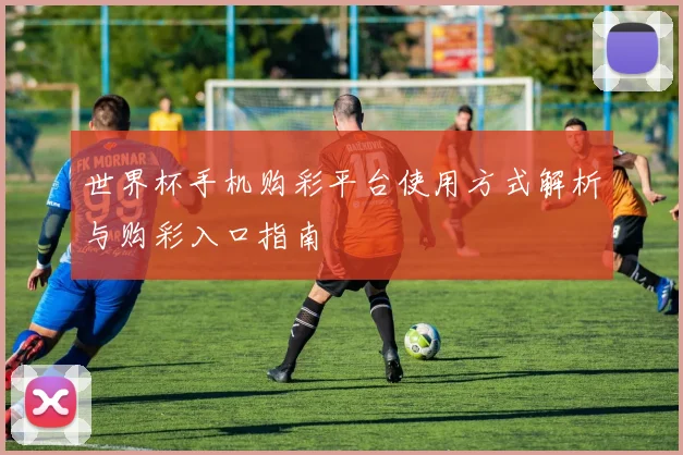 世界杯手机购彩平台使用方式解析与购彩入口指南