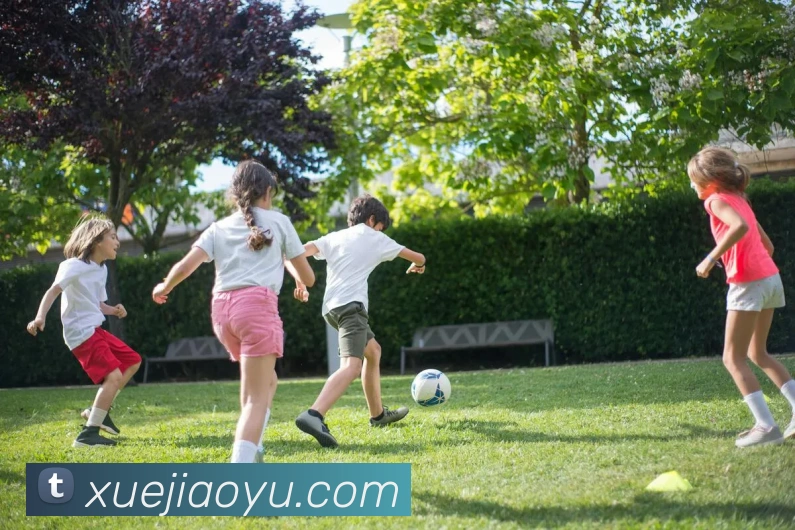 App Interface Preview