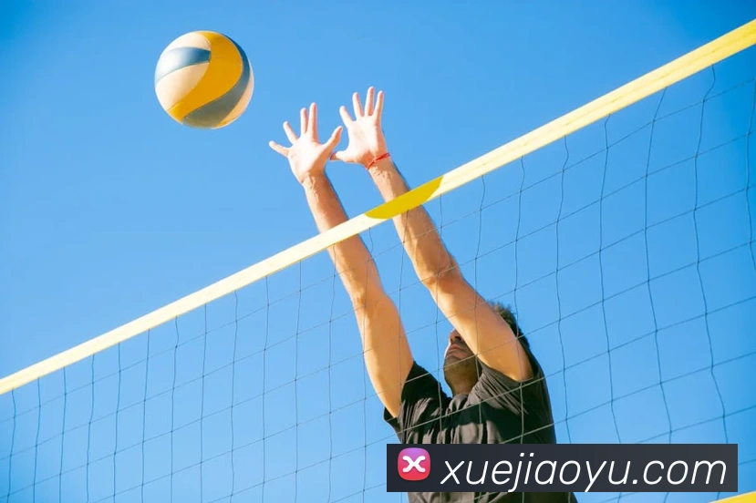 乐竞官方网站APP 封面图